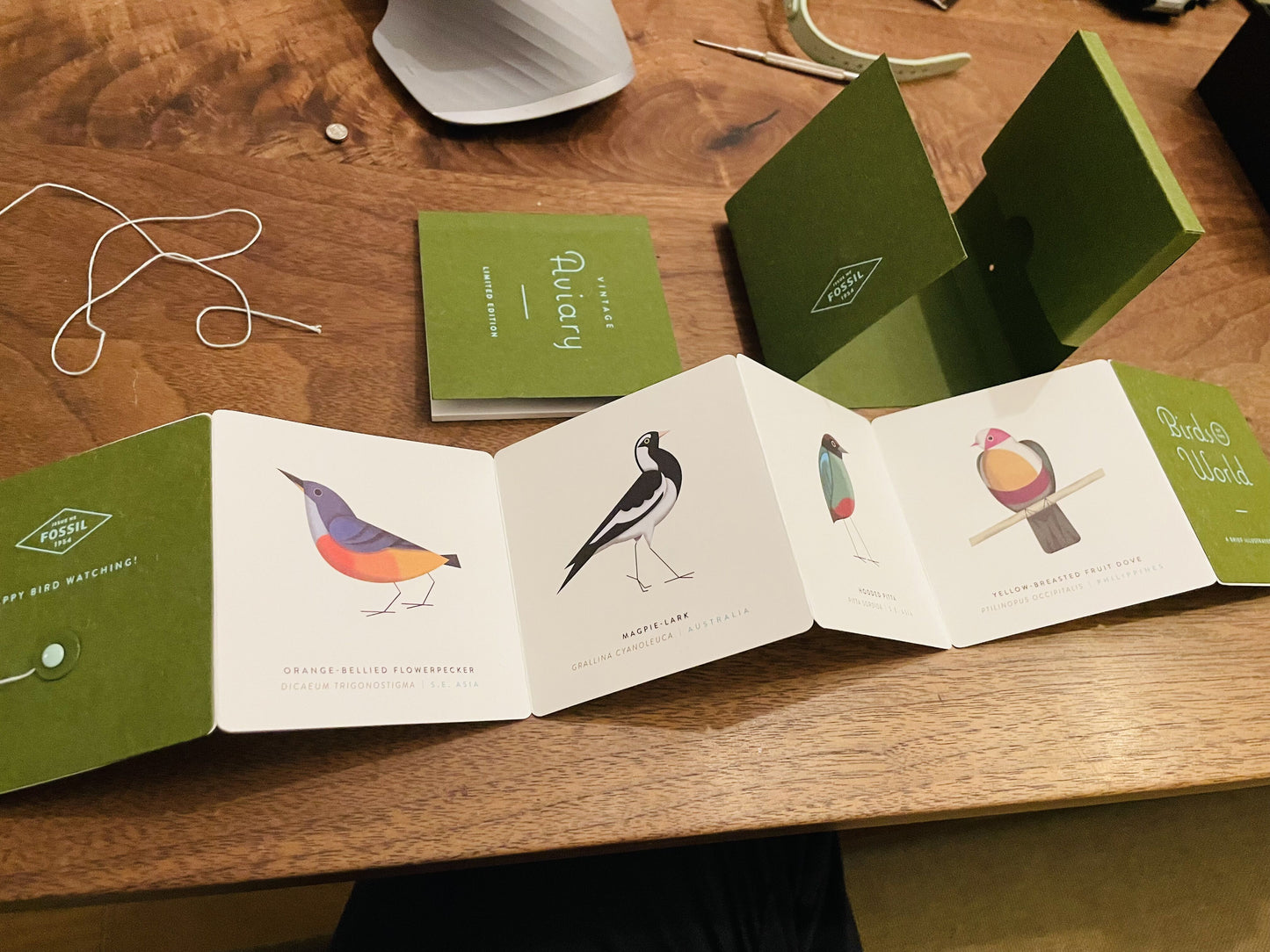 rare product  Fossil  aviary Limited model