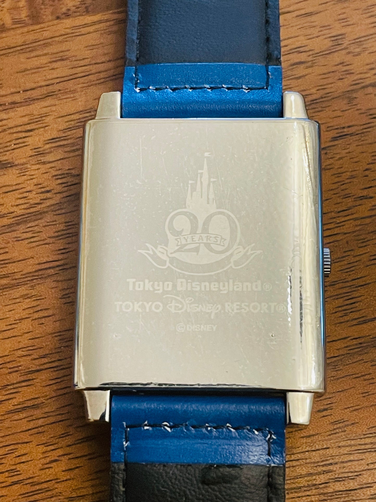very rare 2000s Tokyo Disneyland 20th anniversary model.