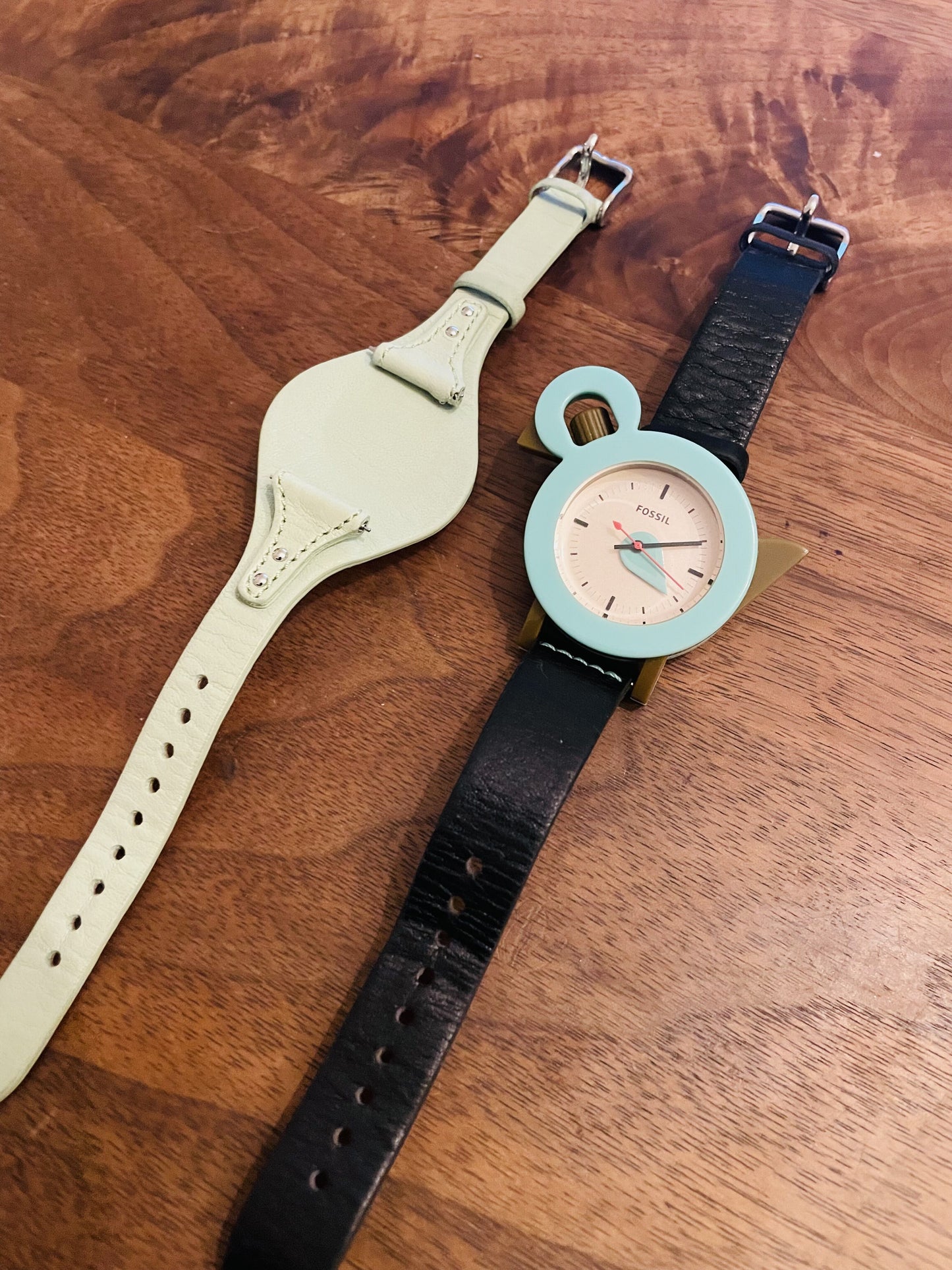 rare product  Fossil  aviary Limited model