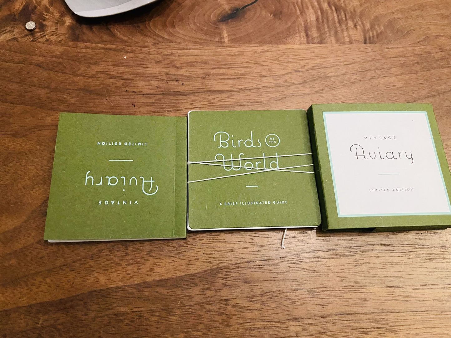 rare product  Fossil  aviary Limited model