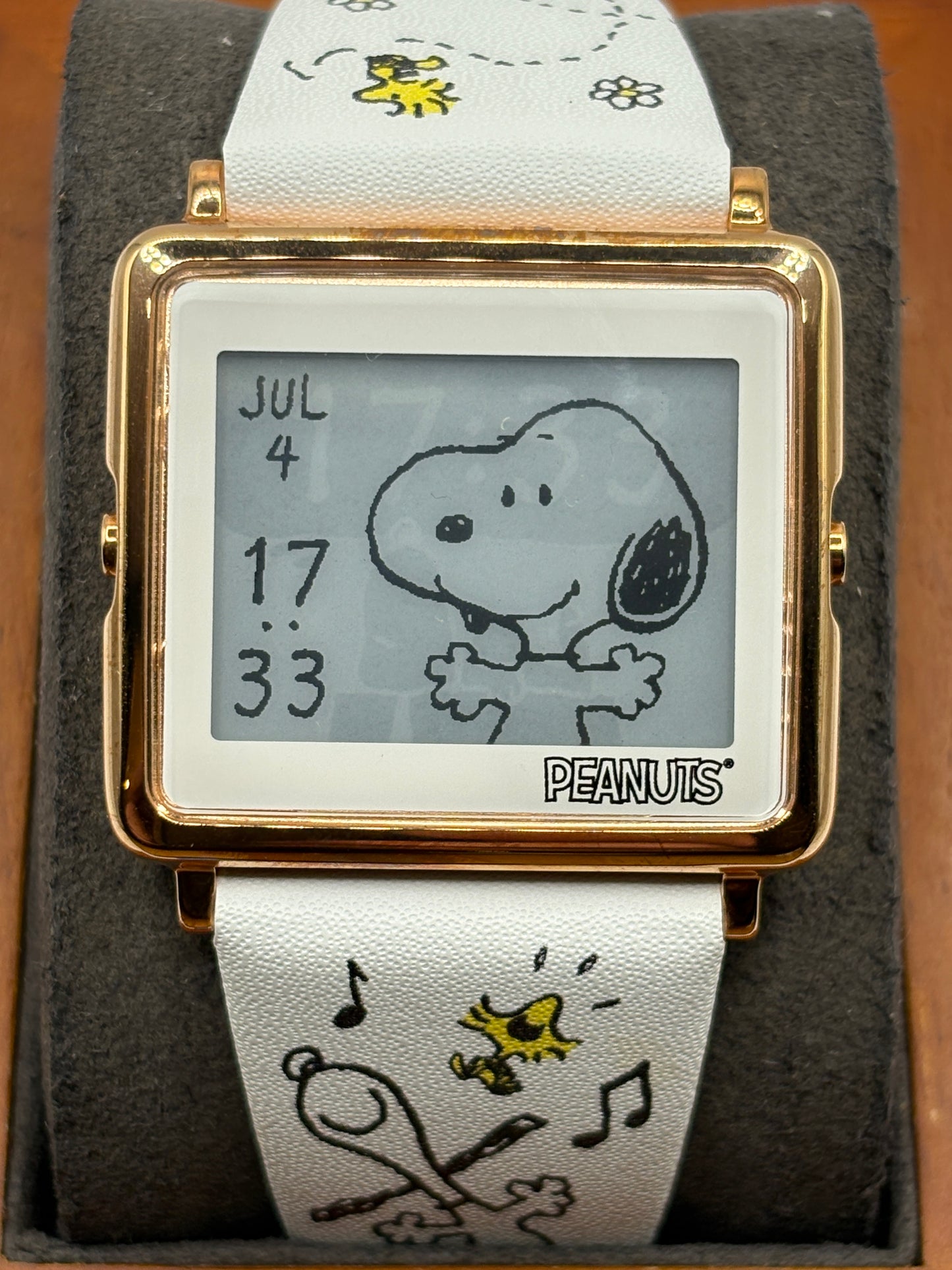 Super rare vintage seiko  epson smart canvas