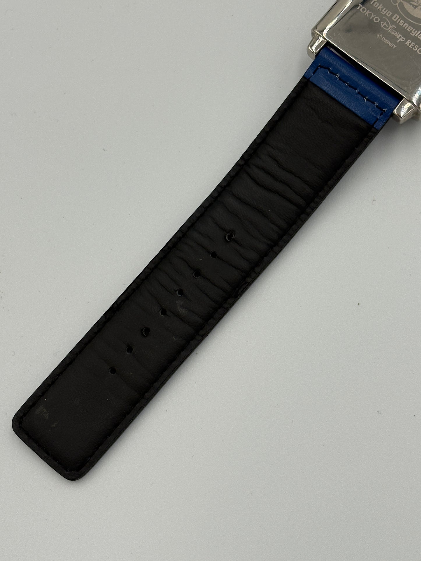 Super rare 2000s Tokyo Disneyland 20th anniversary model   mickey　 Reverso