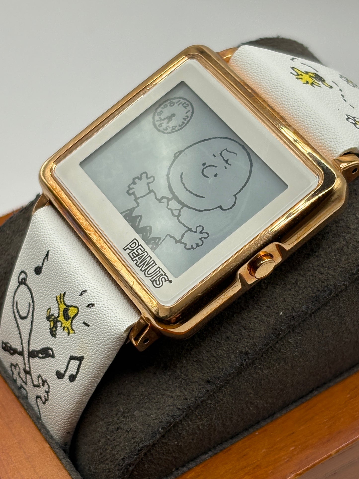 Super rare vintage seiko  epson smart canvas