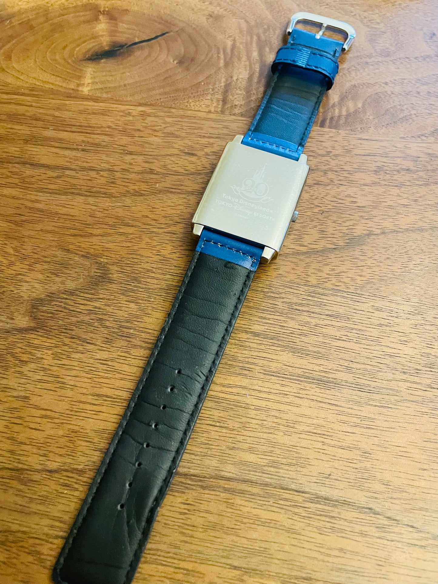 very rare 2000s Tokyo Disneyland 20th anniversary model.