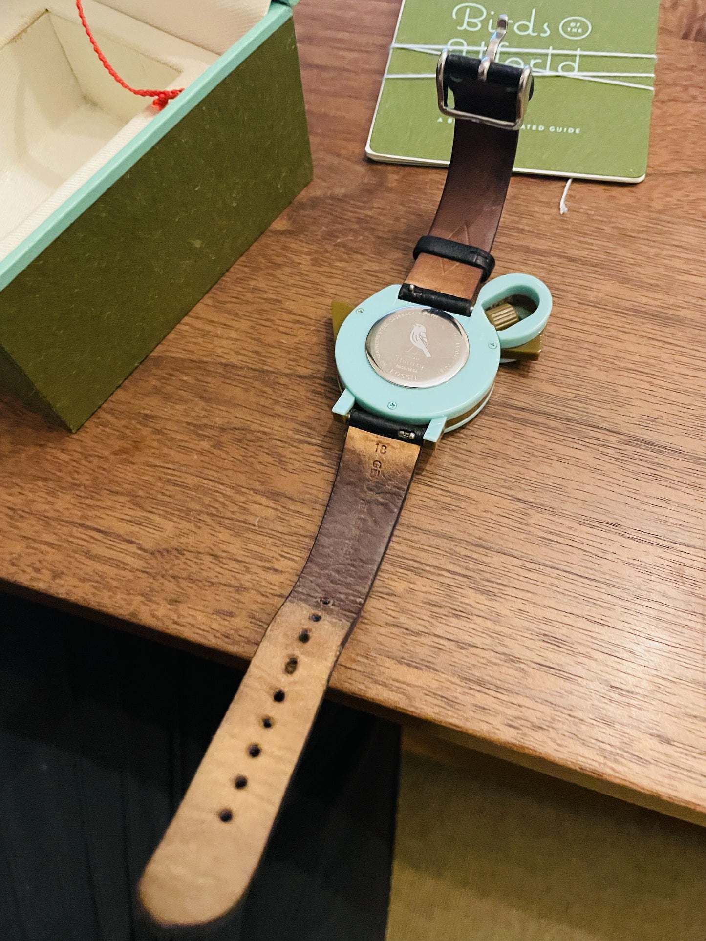 rare product  Fossil  aviary Limited model